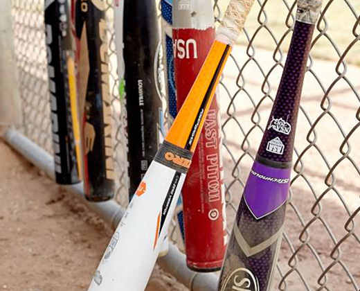 Personalized Season Information Mini Softball Bat Engraved Softball Bats by ChalkTalk Sports 
