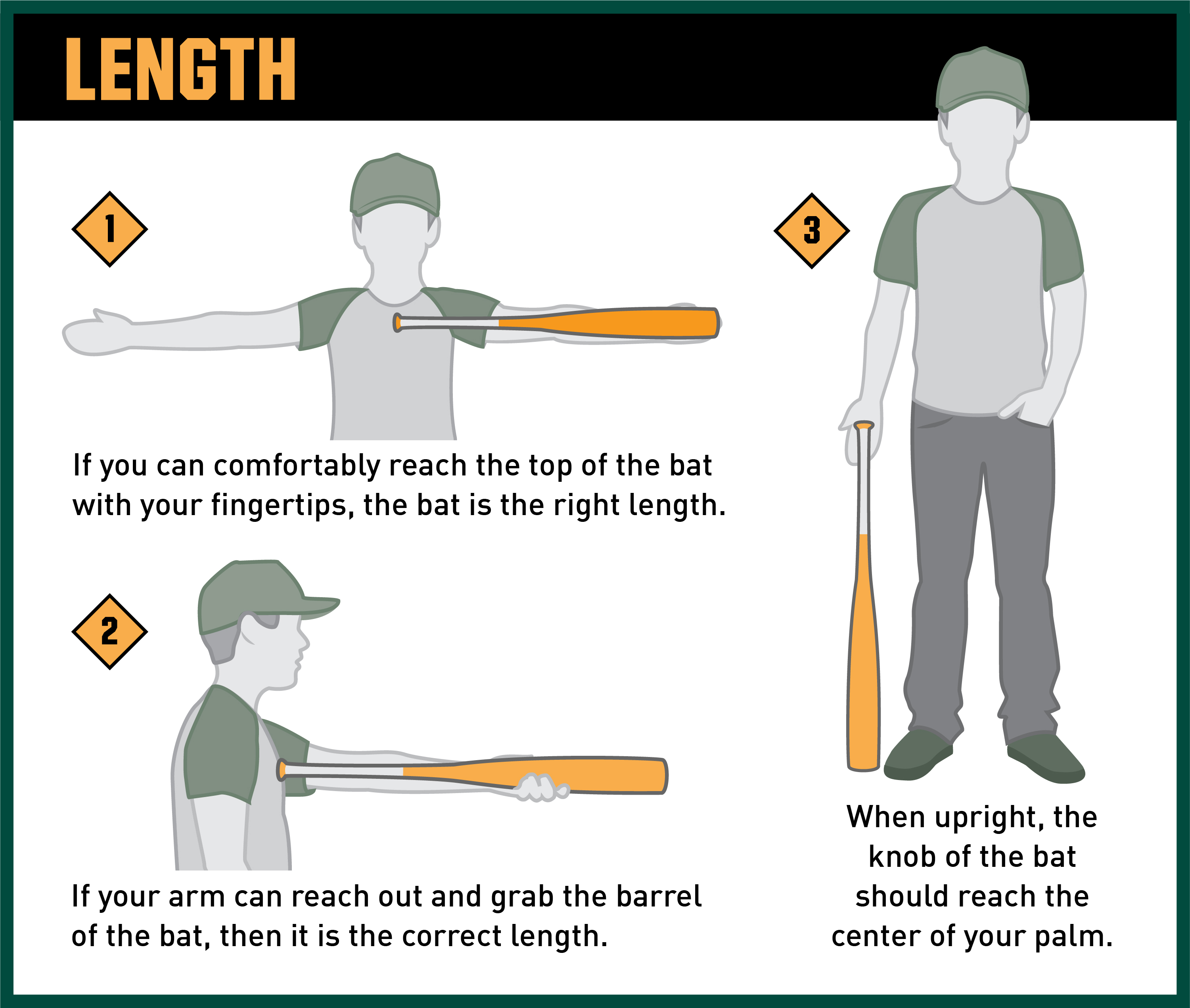 How To Choose A Bat