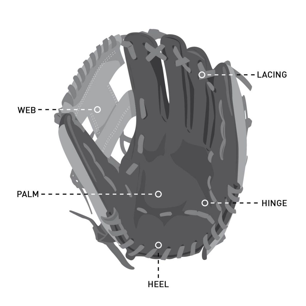 Albums 105+ Images how to hold a baseball glove Completed