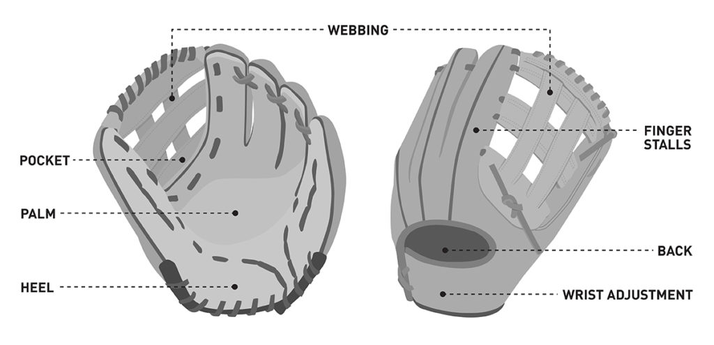 choosing-the-right-softball-glove-pro-tips-by-dick-s-sporting-goods