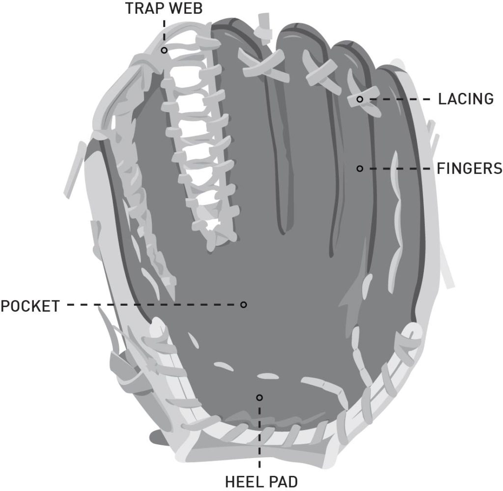 baseball outfielder glove 