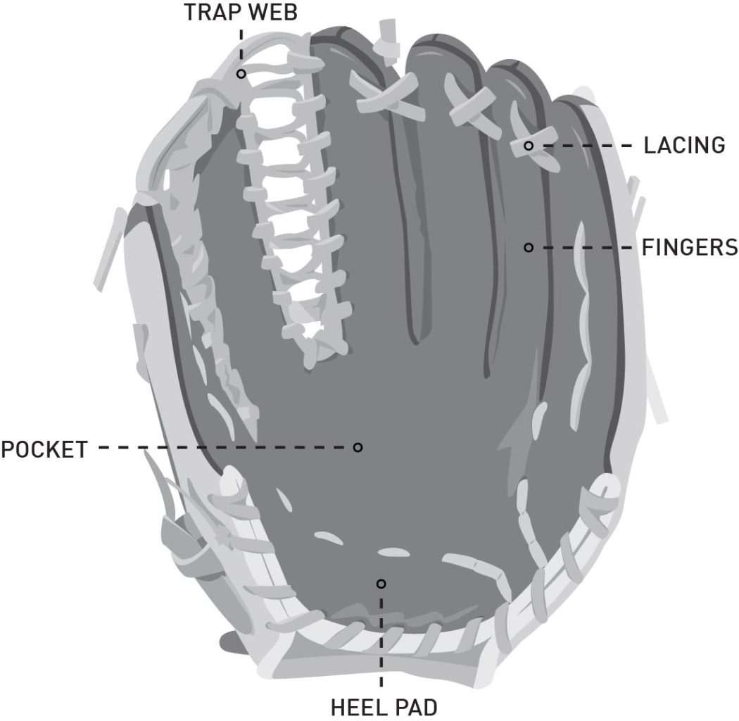 Baseball Outfielder Glove Size at Maria Burgess blog