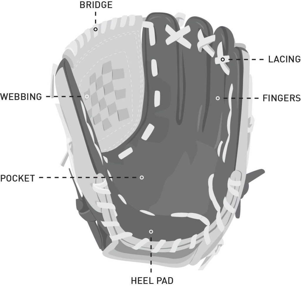 baseball pitcher's glove
