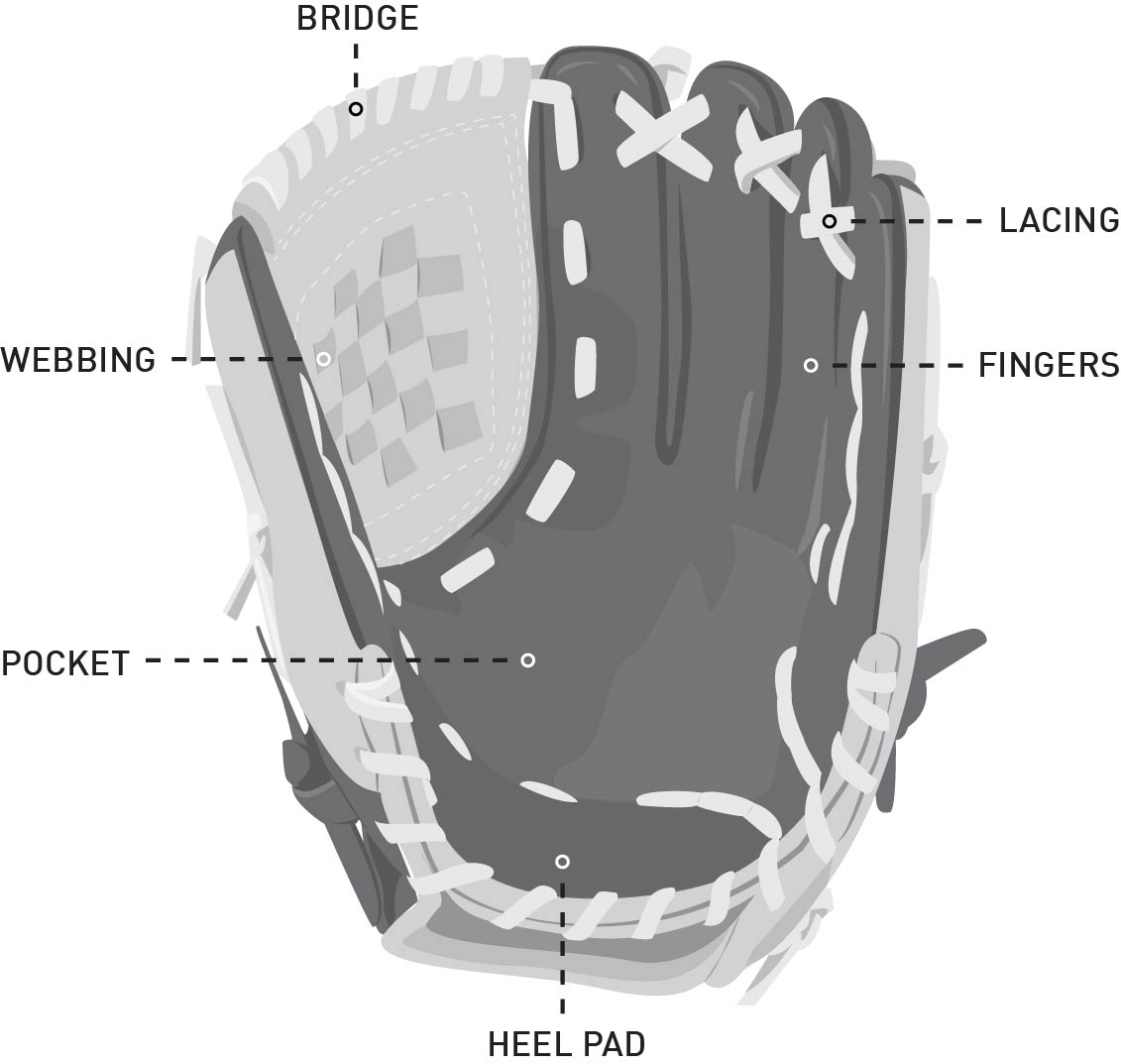 How to Buy a Baseball Pitcher's Glove   PRO TIPS by DICK'S ...