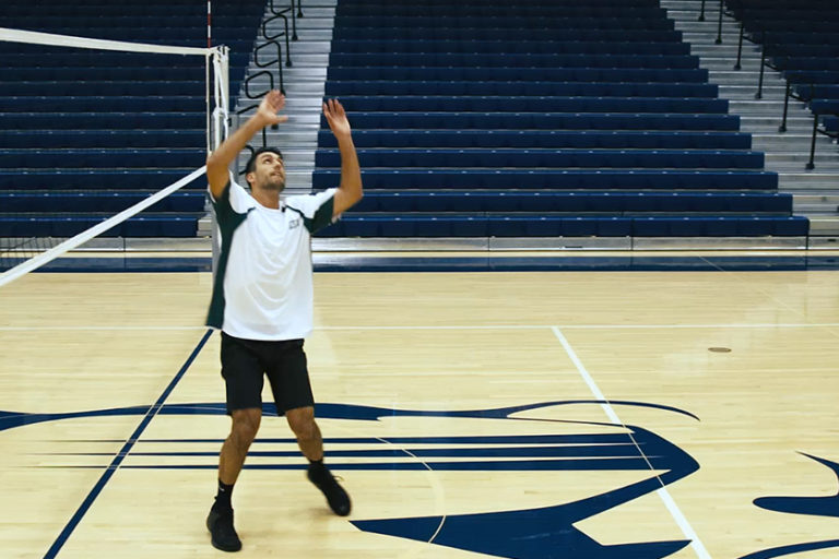 Volleyball 101 Volleyball Positions and Their Roles PRO TIPS by DICK