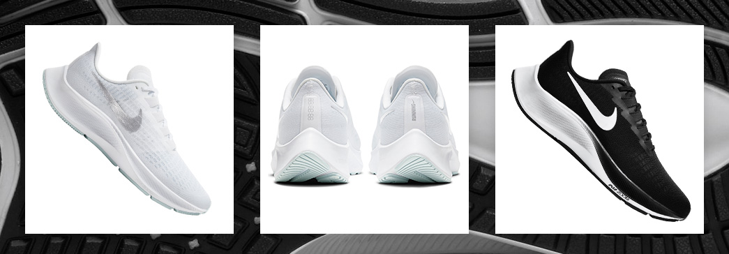 dicks sporting goods nike pegasus