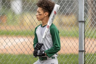 young baseball player holding a baseball bat